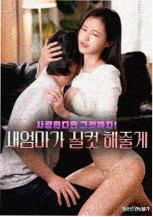 家庭伦理韩剧 继母的日记 封面